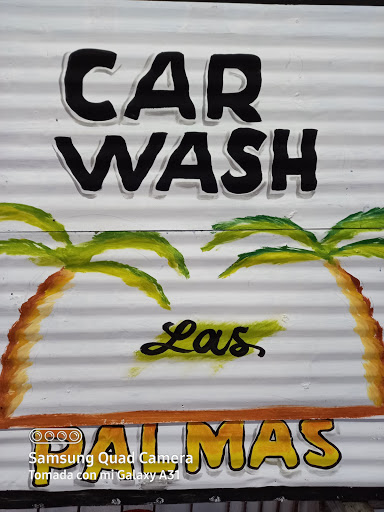 Auto lavado las palmas - Thumbnail