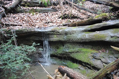 Photos of Conkles Hollow State Nature Preserve