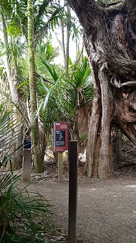 Kitekite Falls - Museum