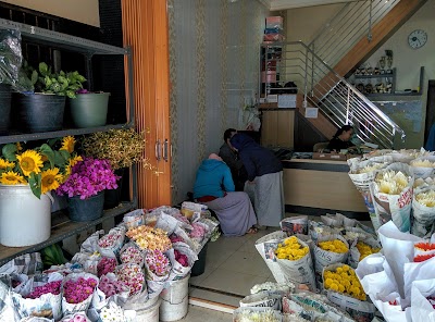 Photos of Rose Flower Shop