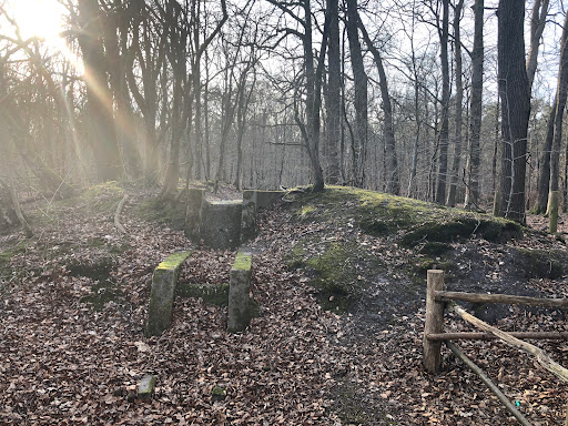 Landgoed de Molenbeek - Thumbnail