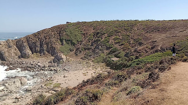 Horarios de Playa Punta de Tralca