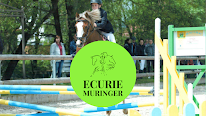 ECURIE MURINGER à Aspach-Michelbach