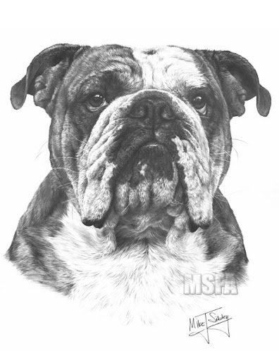 GDF Galleries - Visual