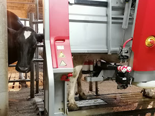 Photo n°11 de Ferme de Corly à Vétraz-Monthoux (Éleveur)