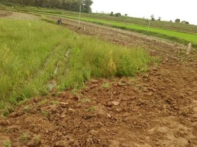 Photos of TANAH KAVLING Harga MULAI 17jt an