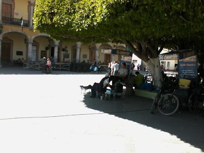 Photos of Unidad de Acceso a la Informaci&oacute;n y Municipio de San Francisco del Rinc&oacute;n
