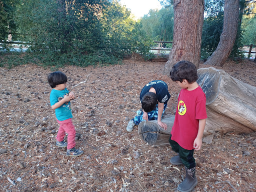 Tapo Canyon Campground - Thumbnail