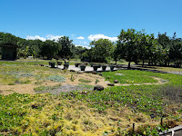 Maui Nui Botanical Gardens Tripadvisor