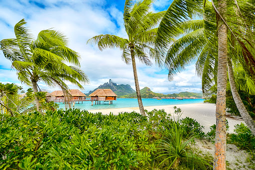 Ivy League Travel LLC - Thumbnail
