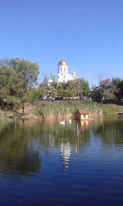 Photos of The Christmas Cathedral