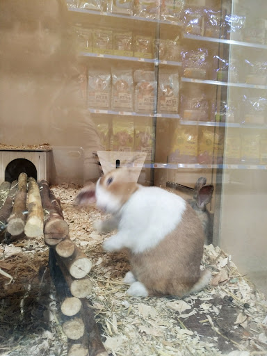 Pets at Home Broadstairs - Thumbnail