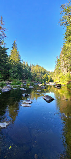 Ash Flat Campground - Visual