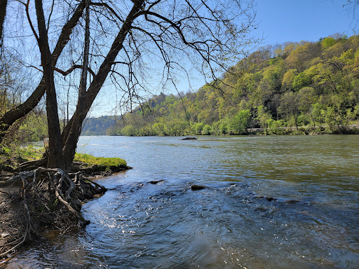 Walnut Island River Park Gallery - United States