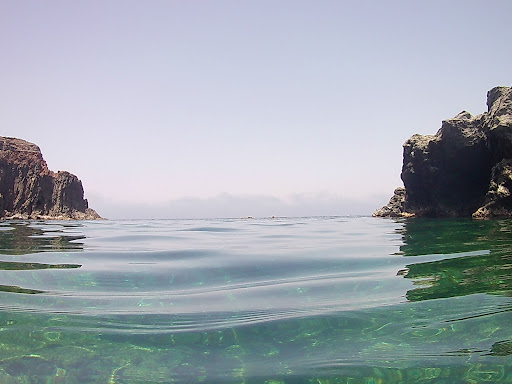 Kattibuale - Visual