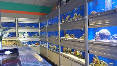 Midwest Aquarium Services