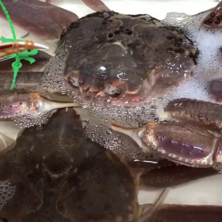 魚と肴 とおるの台所