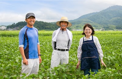 だだちゃ豆 冨樫藤左エ門
