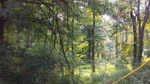 Glenside Field - Thumbnail