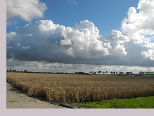 Natuurkampeerterrein De Blikken Gallery - Netherlands