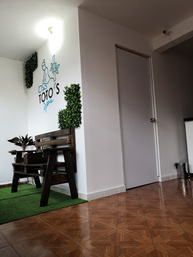 TOTO´S SPA - Thumbnail
