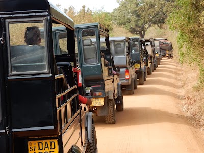 Yala Safari Team / Jeep Safari in Yala National park