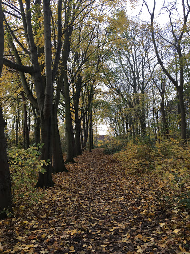 Kingston Gardens - Thumbnail