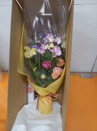 Shiraishi Flower Farm