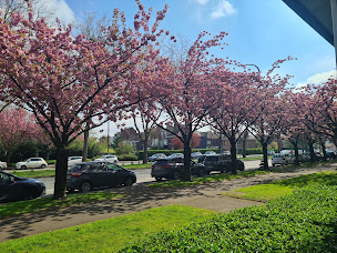 Photo n°6 de Marion Jacob Da Rocha à Marcq-en-Baroeul (Ostéopathe)