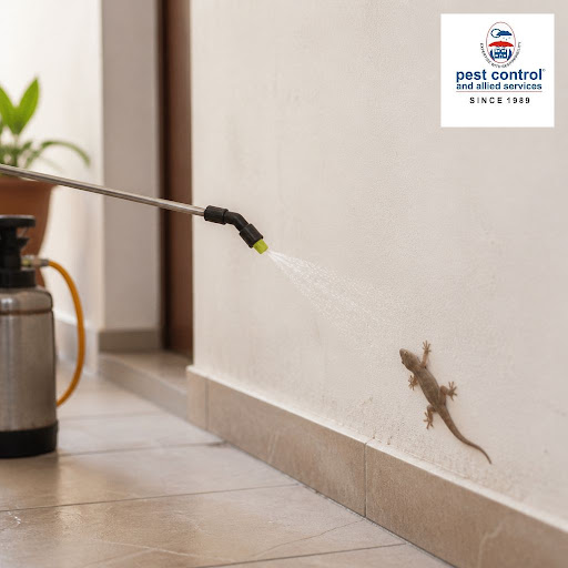 Are lizards making your home or office uncomfortable? At Pest Control and Allied Services Private… post image