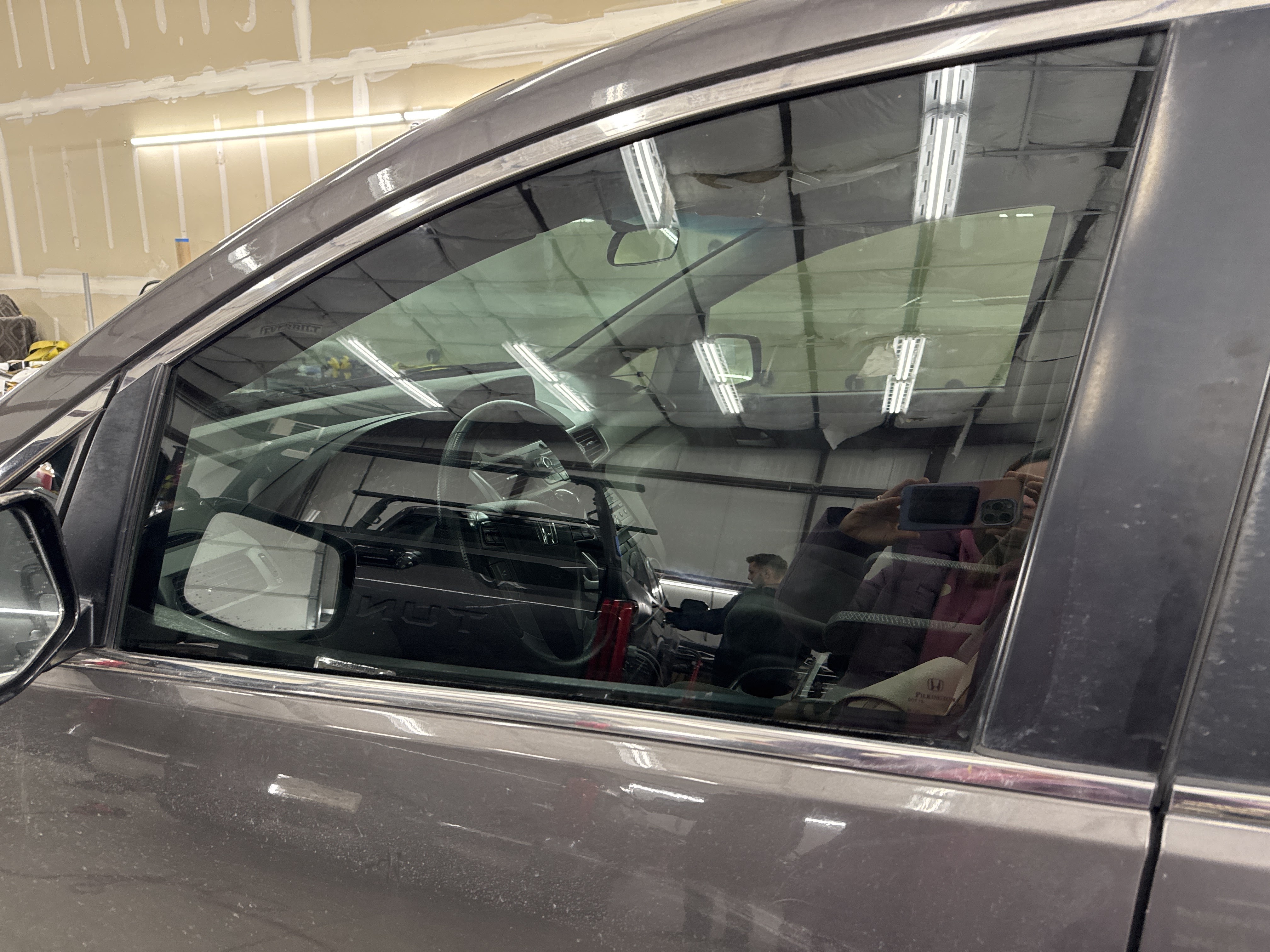 Vivid Graphics & Tint