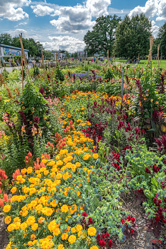 egapark Großes Blumenbeet - Visual