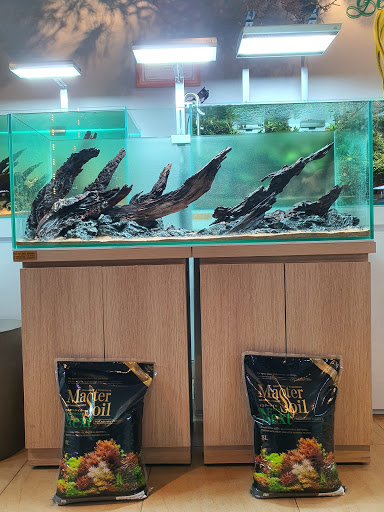 Yêu