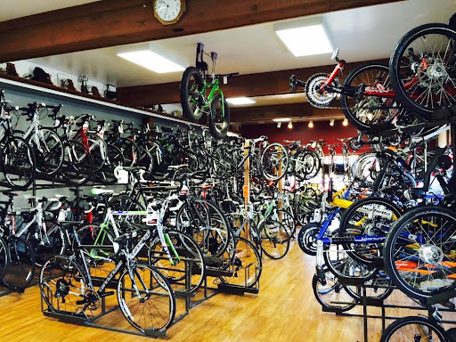 Bicycle One - Visual