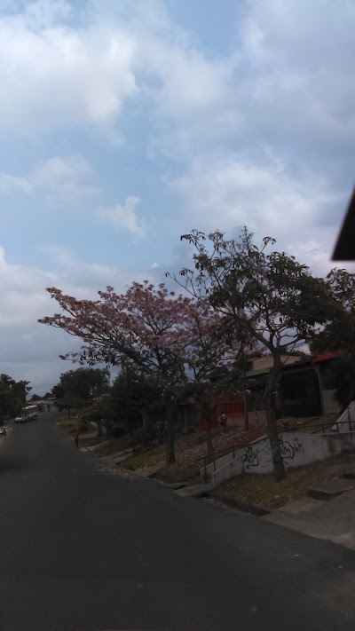 Photos of Leones Park