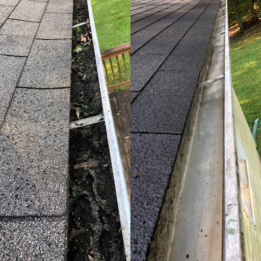 Root Home Services - Visual