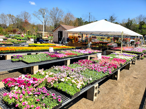 Ron's Gardens Farm Market Gallery - United States