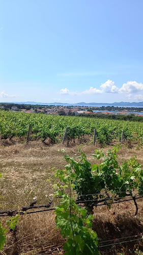 Konoba Kraljevski Vinogradi - Restoran