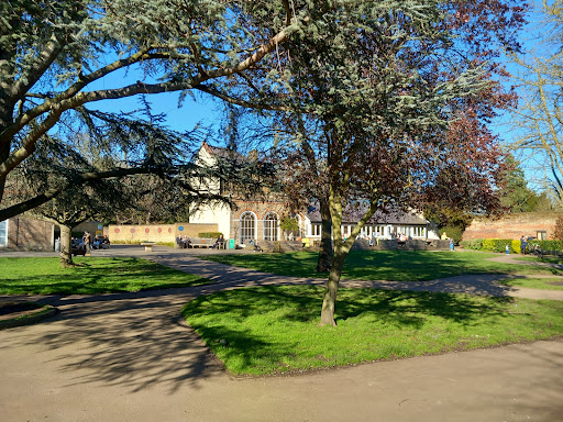 Cedars Park Cafe - Visual