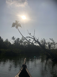 Photo n°6 de L'escale indienne 17 à La Rochelle (Massothérapeute)