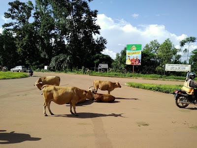 Photos of Hospital Regional De Lab&eacute;