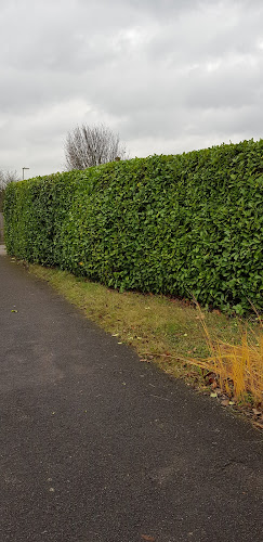 Greenwave landscaping & Resin surfacing Open Times