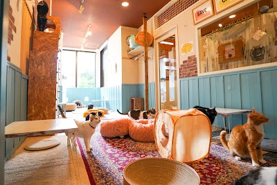 セーブキャットカフェ