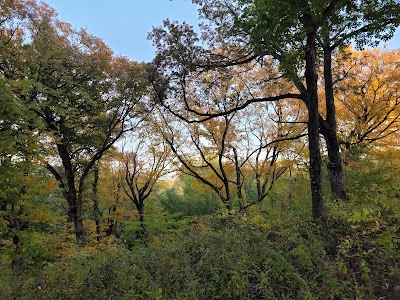 Robison Wildlife Area