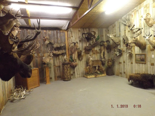 Wildlife-Action Taxidermy and Deer Processing - Thumbnail