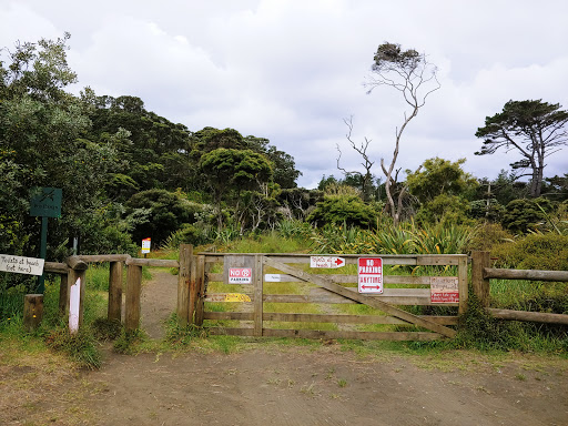 Lake Wainamu Car Park& Entrance - Thumbnail