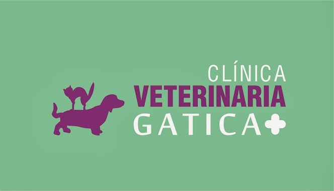 Clínica Veterinaria Gatica, Author: Clínica Veterinaria Gatica