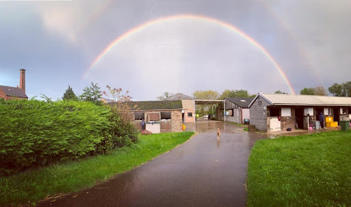 Blaby Mill Stables - Thumbnail