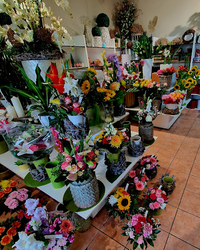 Bach Blumen - Thumbnail