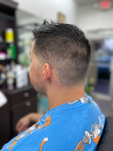 Steve's Salon - Visual